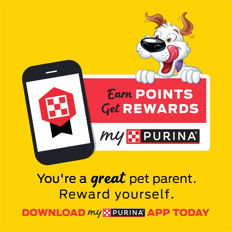 Purina Strips Dog Treats with Real Bacon & Peanut Butter Flavors Tender Chews, 40 Oz Pouch