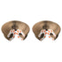 PurrfectScratch Magic Organ Cat Scratching Board – Interactive Claw Grinder & Fun Toy for Cats