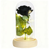 Gifts for Her Beauty and the Beast Eternal Rose in Glass Dome Artificial Forever Flower LED Light Mothers Day Gifts for Women