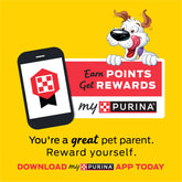 Purina  Strips Dog Treats with Real Bacon & Peanut Butter Flavors Tender Chews, 40 Oz Pouch
