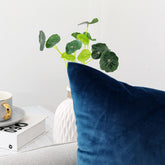 Decorative Throw Pillow Covers Velvet 18X18 Inch Pack of 2 Blue Cushion Covers Soft for Couch Sofa Bedroom Living Room Outdoor