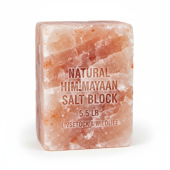 Pink Himalayan Salt Lick